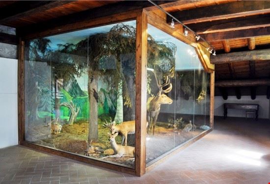 Ecomuseo Naturalistico