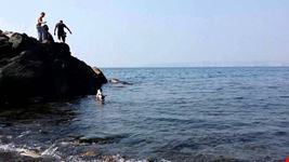 mare
