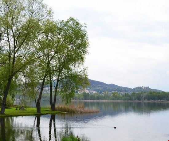  Ivrea  