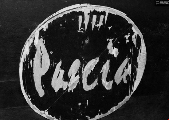 Pascia Club