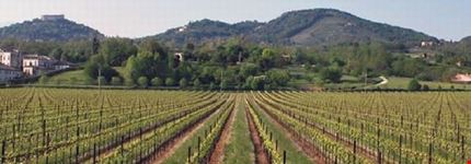 Montello e Colli Asolani