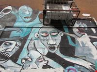  metelkova e la sua arte alternativa
