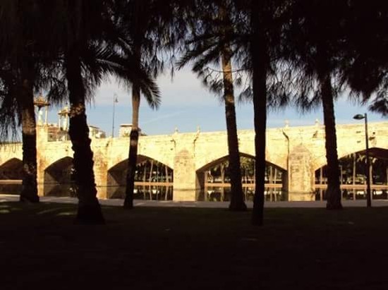 FOTO ARTISTICA VALENCIA