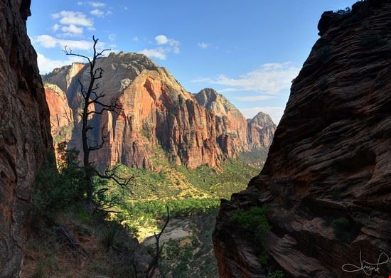  Zion National Park tsaiproject - CC BY 2.0 tsaiproject