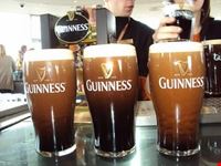 guinnes dublino