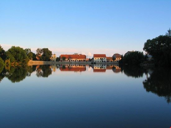  Telc izarbeltza - CC BY-SA 2.0 izarbeltza