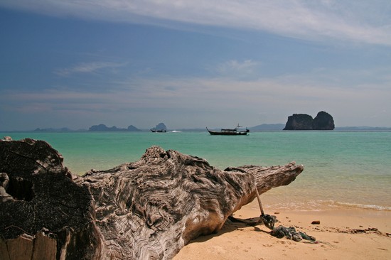 Ko Ngai