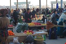  siyob bazaar