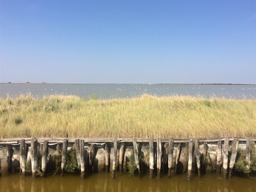 Dettaglio delle Valli di Comacchio