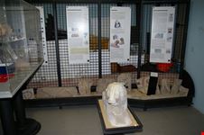 museo civico lanuvino
