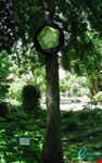  parco ontanese