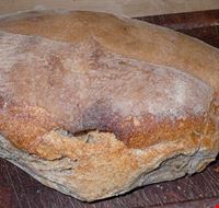 pane di lariano pane di lariano