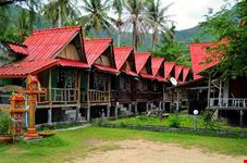  trekking nella giungla