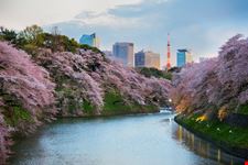 Parco di Ueno