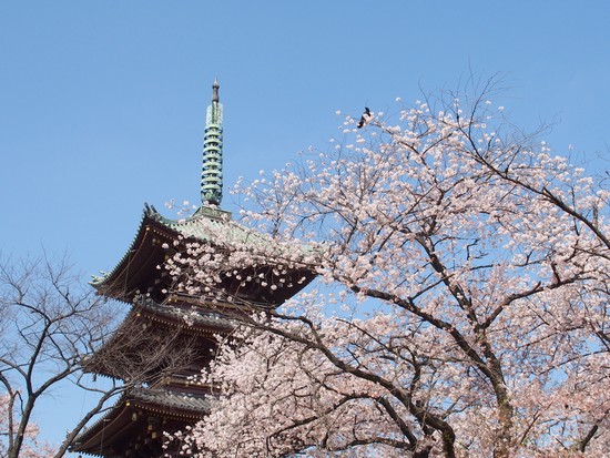 Parco di Ueno