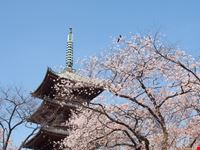 Parco di Ueno