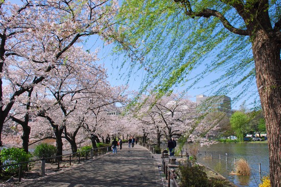 Parco di Ueno