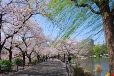 Parco di Ueno