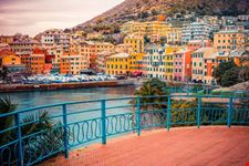 nervi porto