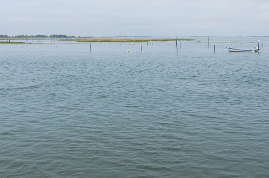 fiume po