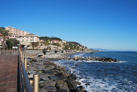  Cogoleto  