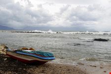 mare
