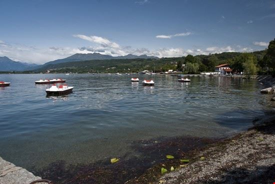  Viverone  