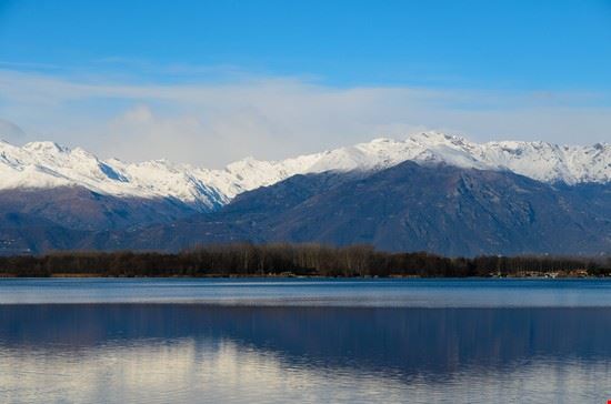  Viverone  
