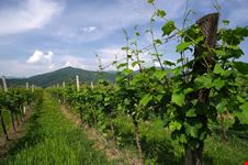Gussago - natura