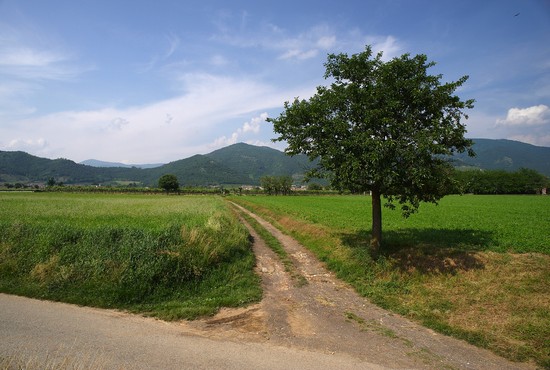 Gussago - campagna
