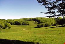 Monte Fumaiolo, paesaggio