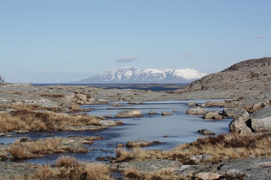 Arcipelago Vega