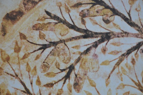  l albero della fecondita