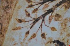  l albero della fecondita