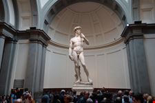David