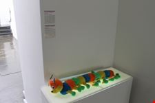 Museo delle Relazioni Finite