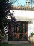 Cortile