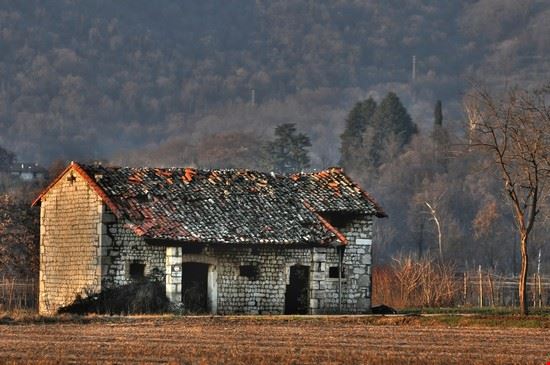 Aviano