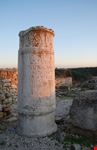 canne della battaglia torre