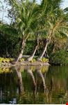 Floridia natura