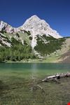 Forni Avoltri