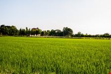 gozzano natura