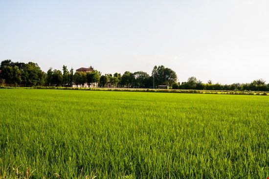  Gozzano  