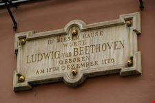  casa di beethoven