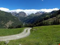 Monte Rosa