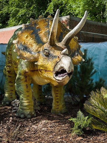  alborg zoo