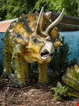  alborg zoo
