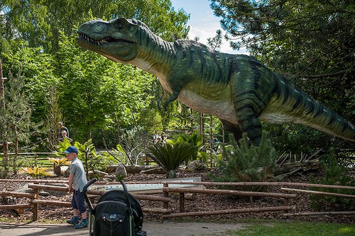  alborg zoo