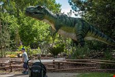  alborg zoo