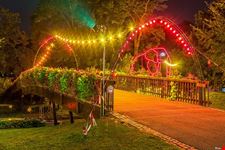  giardino botanico
